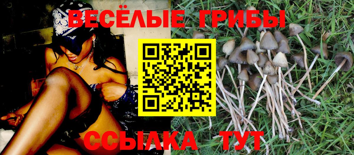 Псилоцибиновые грибы мицелий Семёнов